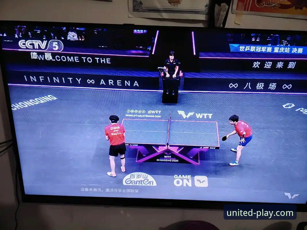 球盟会QMH app下载 青春风暴席卷山城:WTT重庆冠军赛决赛深度解析与观赛体验